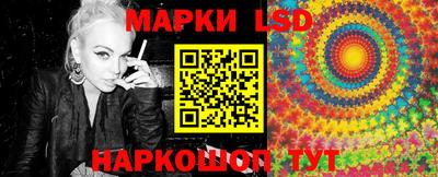 индика Обь