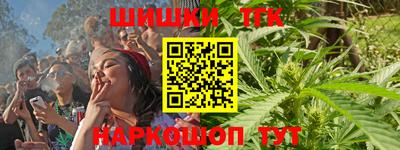 индика Обь
